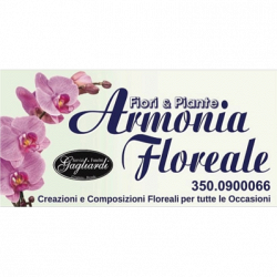 Fiori E Piante Armonia Floreale - Onoranze Funebri logo