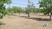 Sud Italia a secco, Texas devastato