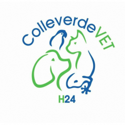 Clinica Veterinaria Colleverde Vet H24 logo