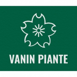 Vanin Piante logo