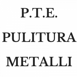 P.T.E. Pulitura Metalli logo