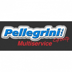 Pellegrini Group Multiservice Auto logo