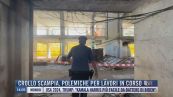 Breaking News delle 14.00 | Crollo Scampia, polemiche per lavori in corso
