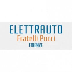 A.P.E. Elettrauto Fratelli Pucci logo