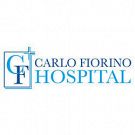 Carlo Fiorino Hospital