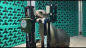 In Australia leoni marini e foche rispondono al test del'udito