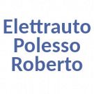 Elettrauto Polesso Roberto