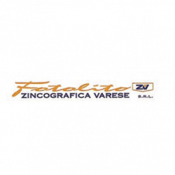 Zincografica Varese Srl logo