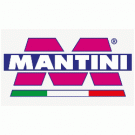 Mantini Srl