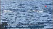 Sicilia, voglia di mare sotto l'albero
