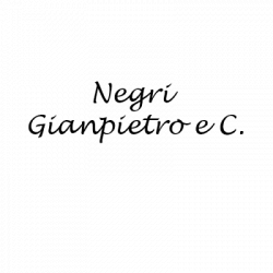 Negri Gianpietro e C. logo