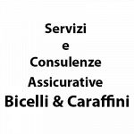 Servizi e Consulenze Assicurative di Bicelli Elisabetta & C. sas