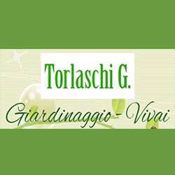 Torlaschi G. - Giardinaggio - Vivai logo