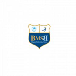 Bilingual Middle School Of Brescia logo