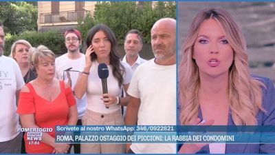 Palazzo ostaggio dei piccioni: "Colpa di un inquilino"