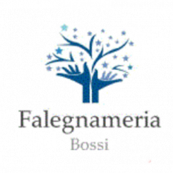 Falegnameria Bossi logo