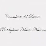 Consulente del Lavoro Puddighinu Maria Narcisa