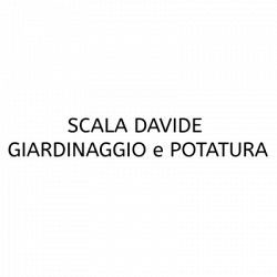 Scala Davide Giardinaggio e Potatura logo