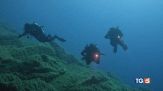 Maldive, recuperati tutti i corpi dei sub