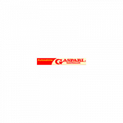 Autosalone Gaspari e Gastaldi logo