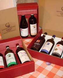 Azienda Agricola Gallo - Vini Piemontesi