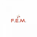 F.E.M.