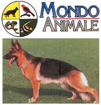 MONDO ANIMALE PET SHOP Mondo Animale