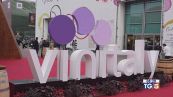 Gusto di vino - Le nuove proposte dal Vinitaly
