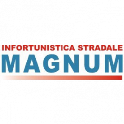 Infortunistica Stradale Magnum Gestione Sinistri logo