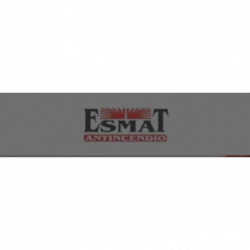 Esmat Antincendio logo