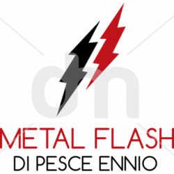 Metal Flash logo