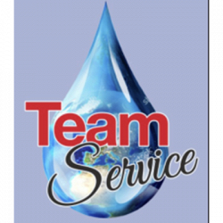 Team Service logo