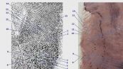 Il dna sotto le unghie di Chiara, le tracce e le impronte nella villetta