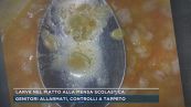 Larve nel piatto alla mensa scolastica