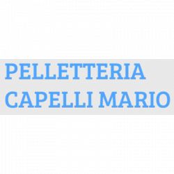 Pelletteria Capelli Mario logo