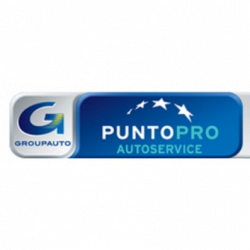 Centro Revisioni PLANINE Autoriparazioni logo