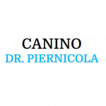 Canino Dr. Piernicola