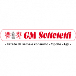 Gm Sottotetti logo