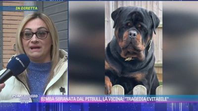 Bimba sbranata dal pitbull, la vicina: "Tragedia evitabile"