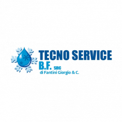 Tecno Service B.F. Snc di Fantini Giorgio & C. logo