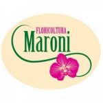 Floricoltura Maroni