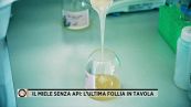 Il miele senza api: l'ultima follia in tavola