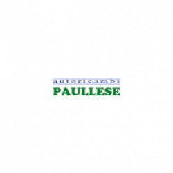 Autoricambi Paullese logo