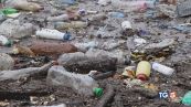 La plastica minaccia la vita e l'ambiente