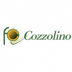 Cozzolino logo