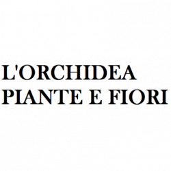 L'Orchidea Piante e Fiori logo