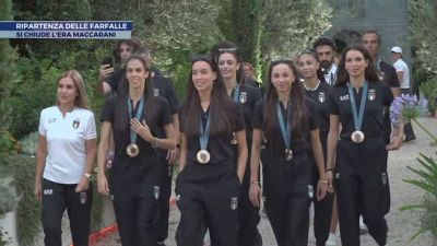 Ripartenza delle farfalle