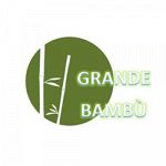 Grande Bambù 2