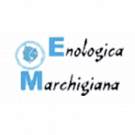 Enologica Marchigiana