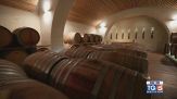 Gusto di Vino: la coltivazione dei vigneti